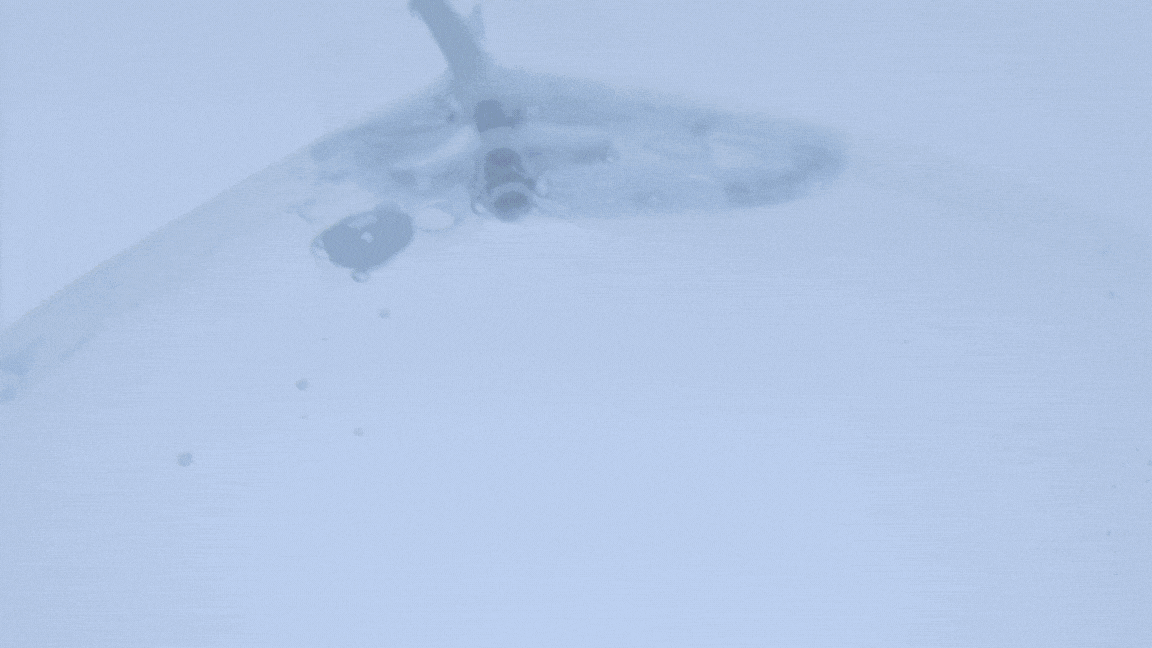 Paso 5: Eliminación